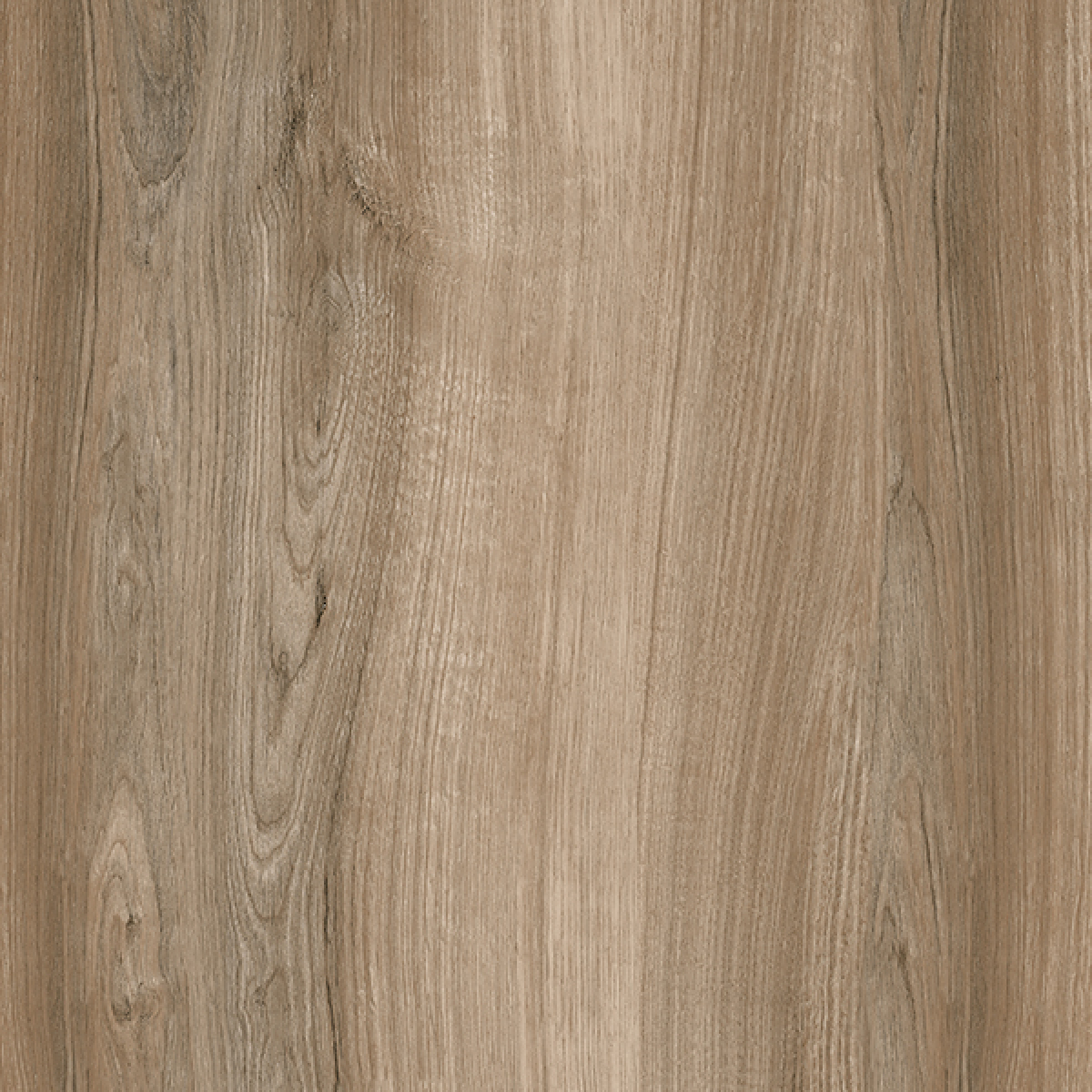 ALBERTINA ALMOND